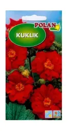 kuklik-szkarlatny-05-g-polan
