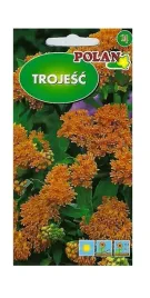 trojesc-pomaranczowa-03-g-polan