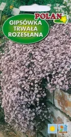 gipsowka-trwala-rozeslana-1-g-polan