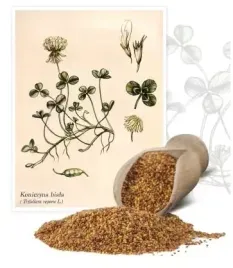 koniczyna-biala-1-kg