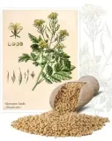 gorczyca-biala-1-kg