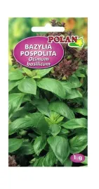 bazylia-wlasciwa-1-g-polan