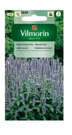 mieta-meksykanska-01-g-vilmorin
