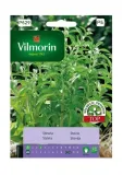stewia-001-g-vilmorin