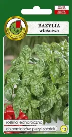 bazylia-wlasciwa-zielona-genovese-1-g-pnos