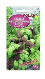 bazylia-mieszanka-odmian-05-g-polan
