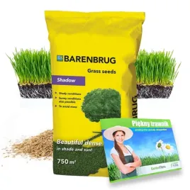 trawa-barenbrug-shadow-na-cien-nasiona-miejsca-zacienione-cieniolubna-25kg