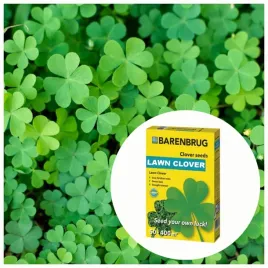 koniczyna-drobnolistna-biala-mikrokoniczyna-trawnik-400m2-lawn-clover-05kg