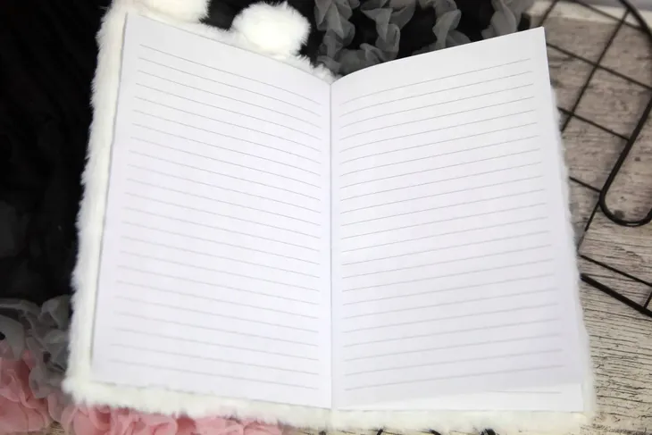 notes-pamietnik-marka-lilly-bling