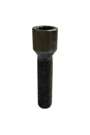 sruba-waskootworowa-do-kol-felg-m14x1-25x45mm-bmw-mini