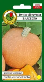 dynia-olbrzymia-bambino-5-kg-pnos