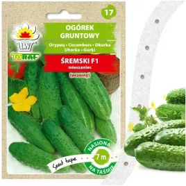 ogorek-gruntowy-sremski-f1-wczesny-nasiona-na-tasmie-7-m