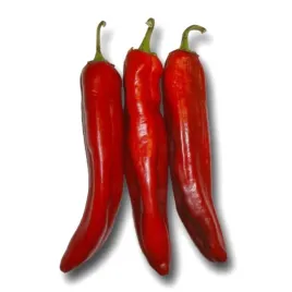 papryka-czerwona-ostra-de-cayenne-nasiona-05-g