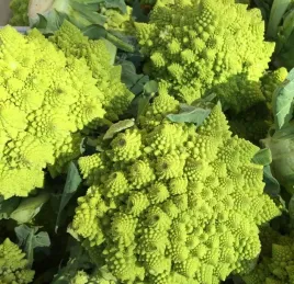 kalafior-romanesco-natalino-egzotyka-w-kuchni-nasiona-1-g