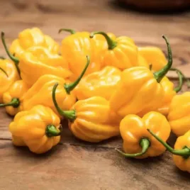papryka-ostra-habanero-yellow-zolta-nasiona-02-g