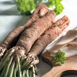 skorzonera-duplex-wezymord-pelna-witamin-wysoko-plenna-nasiona-2-g