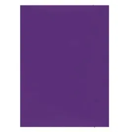 teczka-z-gumka-300gsm-fioletowa-1-szt