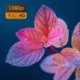 modulator-cyfrowy-johansson-hdmi-dvb-t-c-8204-ir-marka-johansson-model-8204