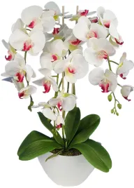 storczyk-sztuczny-kompozycja-kwiatowa-orchidea-60