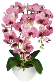 storczyk-sztuczny-kompozycja-kwiatowa-orchidea-60