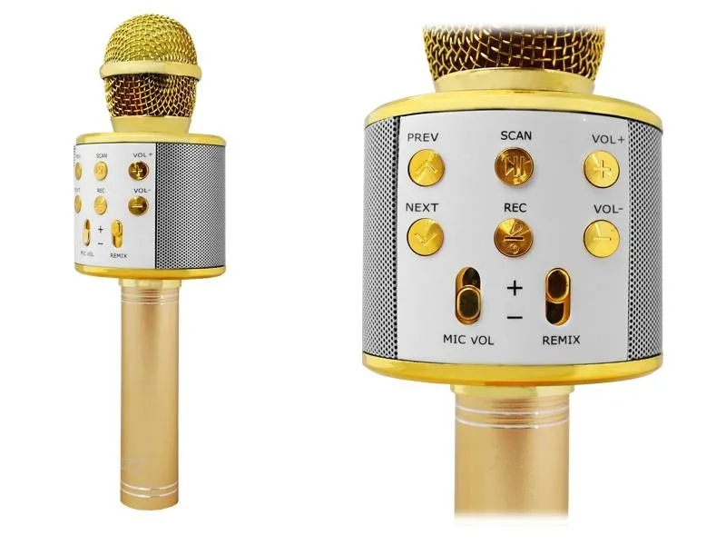 mikrofon-ltc-mic100z