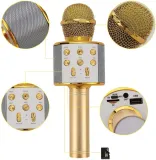 mikrofon-ltc-mic100z-model-mic100z