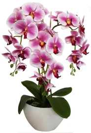 storczyk-sztuczny-damich-czarny-60-cm