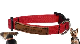 obroza-z-identyfikatorem-dla-psa-kota-15mm-kolory-rozmiar-dopasowujemy