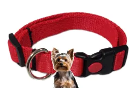 obroza-sunka-ultra-dla-malego-psa-i-kota-s-rozne-kolory-klamra-z-blokada