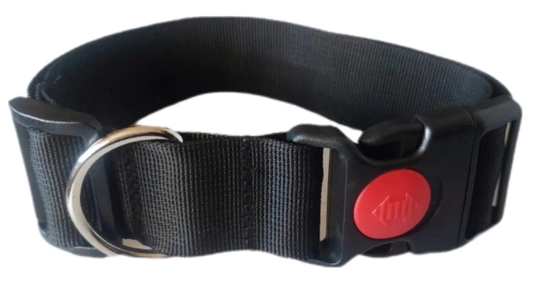 szeroka-obroza-sunka-basic-4cm-z-adresem-identyfikatorem-ml-rozne-wzory