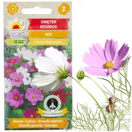 onetek-kosmos-mix-kolorow-nasiona-kwiatow-onetka-1g-na-rabaty-do-ogrodka