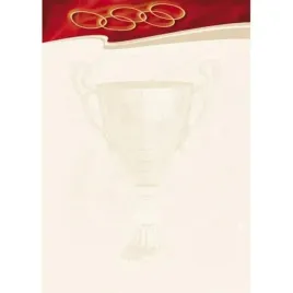 dyplom-galeria-papieru-a4-sport-25