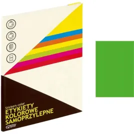 etykiety-a4-grand-210mm-297mm-zielone-25