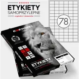 etykiety-emerson-a4-33x22mm-biale-100