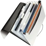 teczka-leitz-solid-6-przegrodek-biala