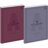 brulion-interdruk-academy-a4-96k-kratka