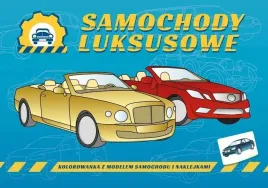 pojazdy-do-zadan-specjalnych-samochody-luksusowe-agnieszka-kochanowska-sab