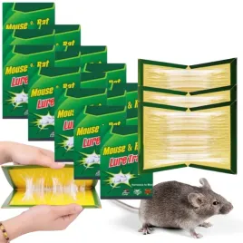 30x-silny-lep-na-myszy-pulapka-z-klejem-lapka-szczury-myszolapka-aromat