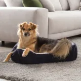 petstuff-poduszka-dla-psa-czarny-65-cm-x-48-cm-kolor-czarny