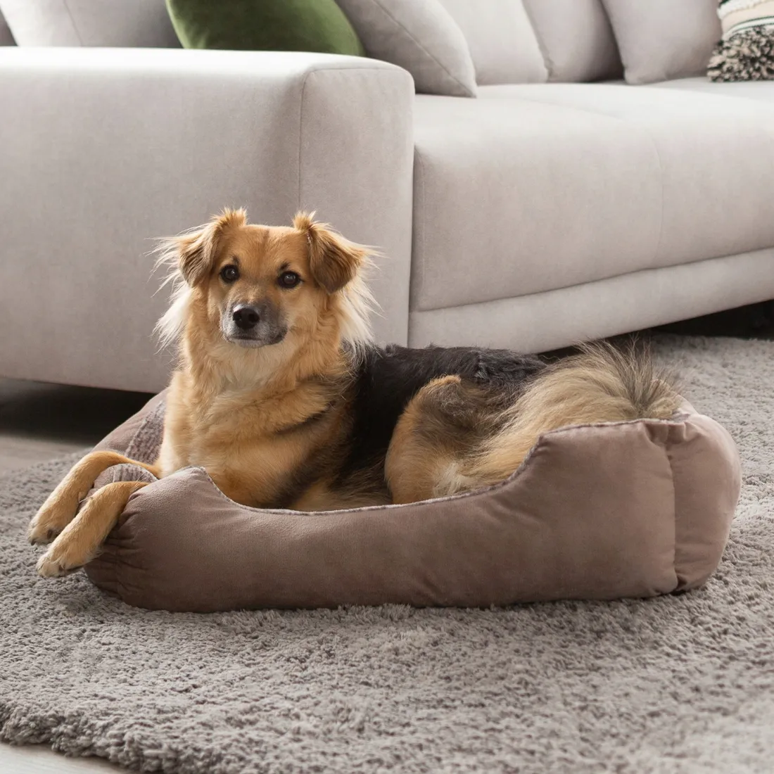 petstuff-poduszka-dla-psa-brazowy-90-cm-x-65-cm