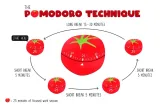 minutnik-timer-podwojny-termhoff-mk-02-pomodoro-marka-termhoff