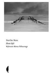 slone-laki-wybrzeze-morza-polnocnego-dorthe-nors
