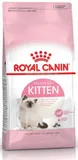 royal-249280-kitten-second-age-2kg