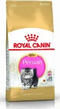 royal-251890-persian-kitten-2kg