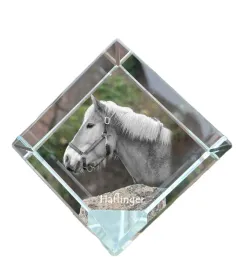 haflinger-krysztalowa-kostka-ze-zdjeciem-konia-zdjecie-konia-w-krysztale