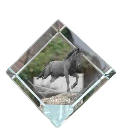 mustang-krysztalowa-kostka-ze-zdjeciem-konia-zdjecie-konia-w-krysztale