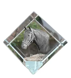 warmblood-dunski-krysztalowa-kostka-ze-zdjeciem-konia-zdjecie-konia-w-kr