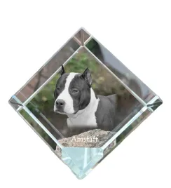 amerykanski-staffordshire-terrier-amstaff-amstaf-krysztalowa-kostka-ze