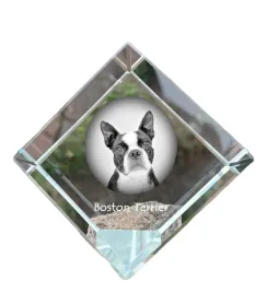 boston-terrier-boston-bull-terrier-krysztalowa-kostka-ze-zdjeciem-zdjec