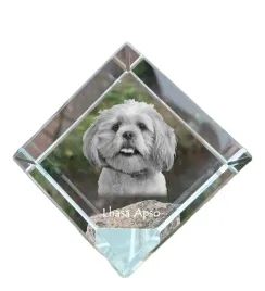 lhasa-apso-krysztalowa-kostka-ze-zdjeciem-zdjecie-konia-w-krysztale-sze
